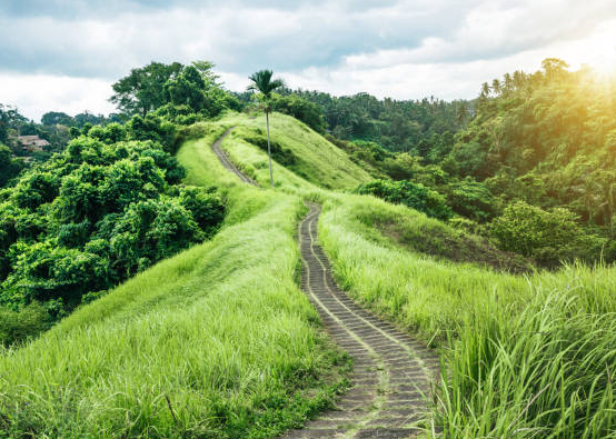 Ulasan Wisata Hijau Ubud di Pulau Bali