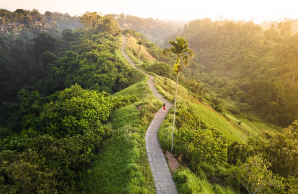 Petualangan Seru di Campuhan Ridge Walk