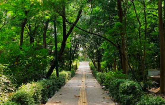 Wisata Alam Tersembunyi di Jakarta Selatan yang Jarang Diketahui