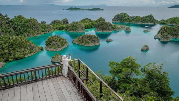 Wisata Raja Ampat Review Terbaru Biaya Dan Rute Kapal